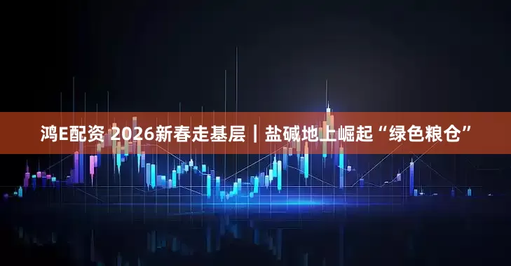 鸿E配资 2026新春走基层｜盐碱地上崛起“绿色粮仓”